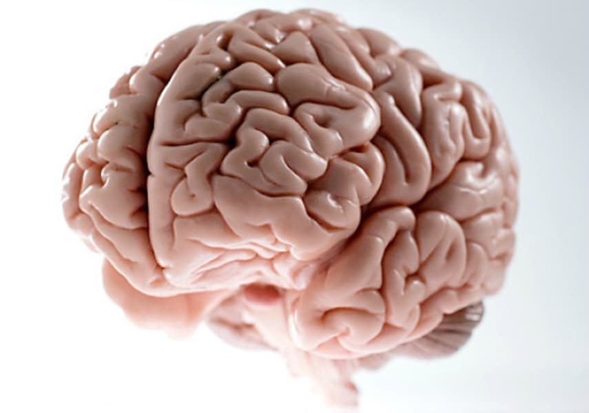 Scumbag Brain blank meme template